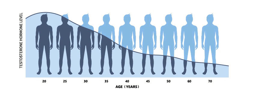 Riskboss Magazine How hormones can impact your career The Tiger